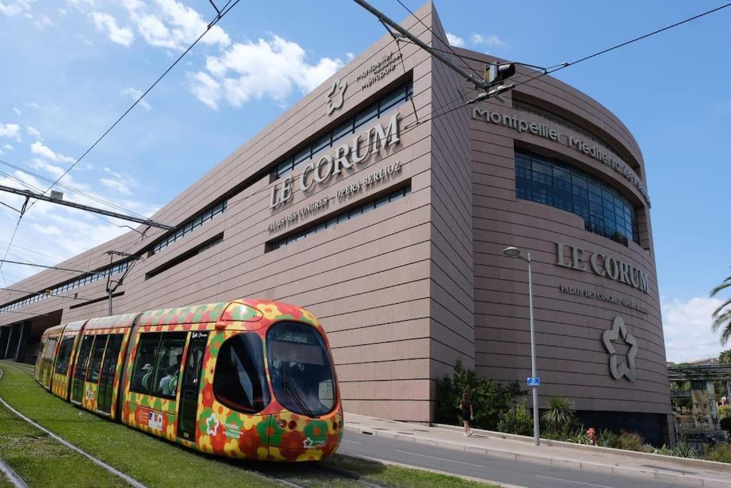 Confort Climatise Et Suite Privee En Sousplex Montpellier Zewnętrze zdjęcie